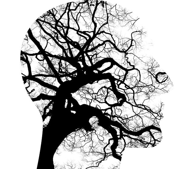 wellnessrelaxingmental-healthworld-menta-640x480-56633183.jpeg