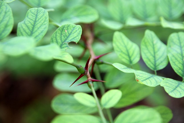 wellnessrelaxingmental-healthworld-menta-640x480-65111802.jpeg