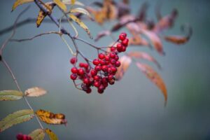 Cultivating Resilience: A Guide to African American Couples Therapy in Pittsburgh