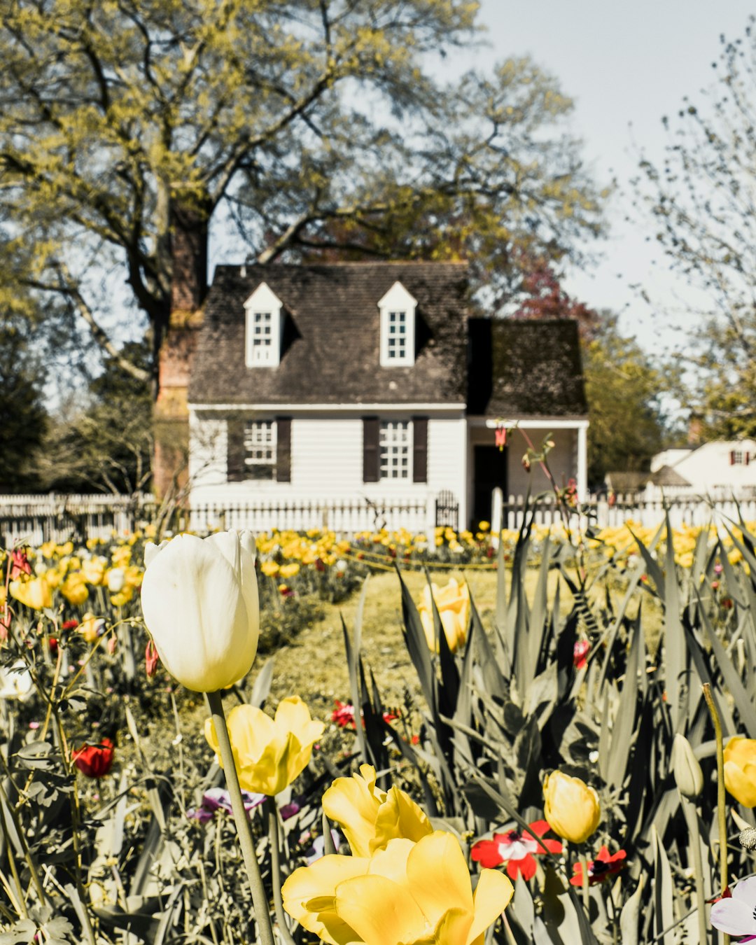 phone,cellphone,smartphone,lawyer,telemarketer,Virginia