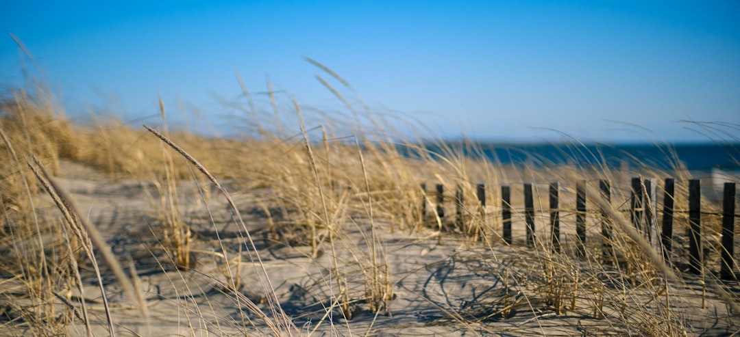 phone,cellphone,smartphone,lawyer,telemarketer,Massachusetts
