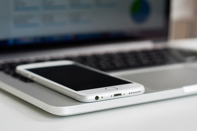 (phone,cellphone,smartphone,lawyer,telemarketer)