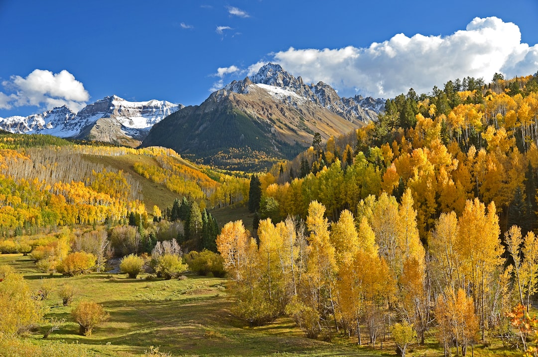 Explore Stunning Waterfalls: Top Estes Park Trails Near Boulder County