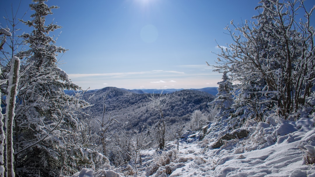 phone,cellphone,smartphone,lawyer,telemarketer,Vermont