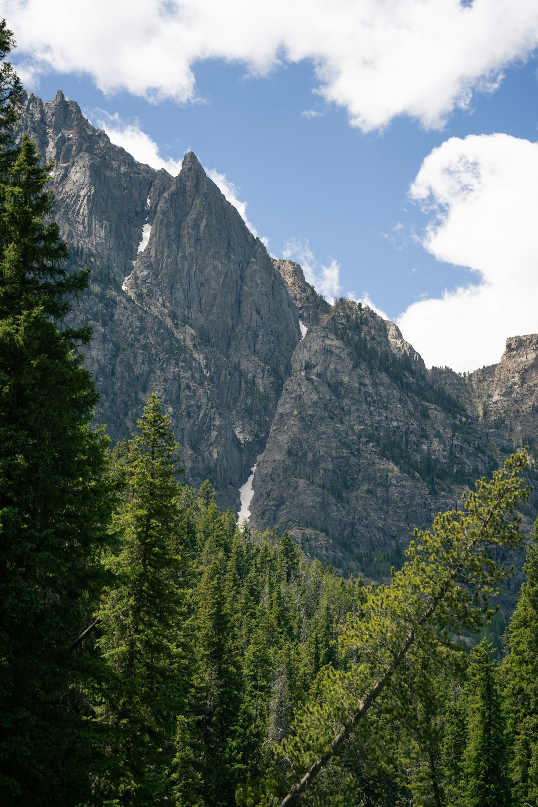 phone,cellphone,smartphone,lawyer,telemarketer,Wyoming