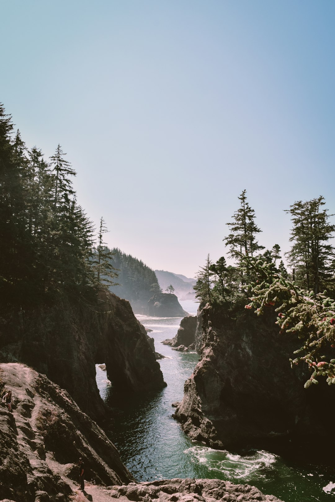 phone,cellphone,smartphone,lawyer,telemarketer,Oregon