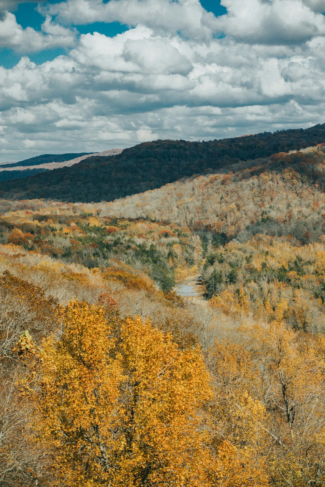 Arkansas
