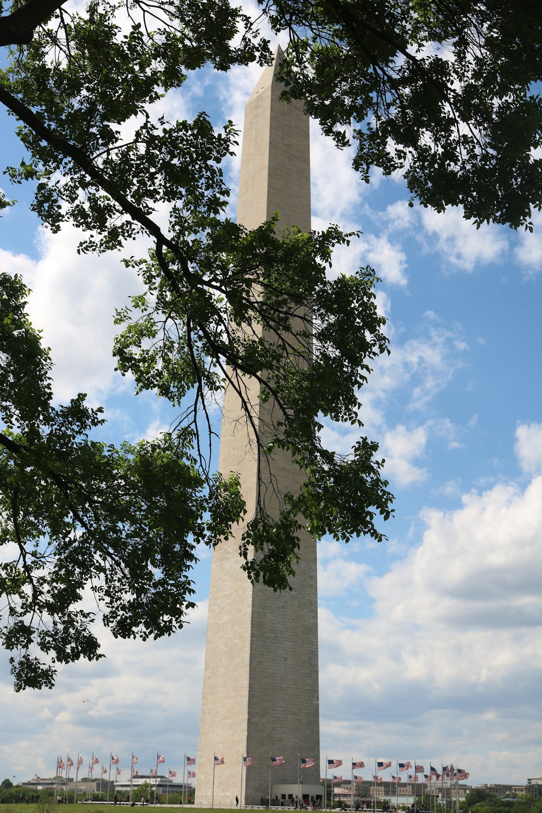 DC