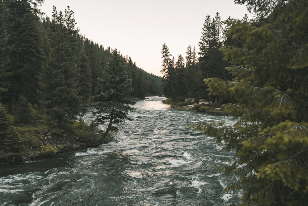 Idaho