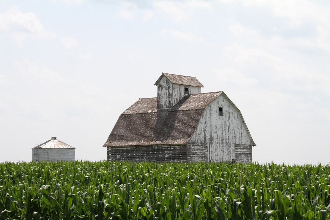 Iowa