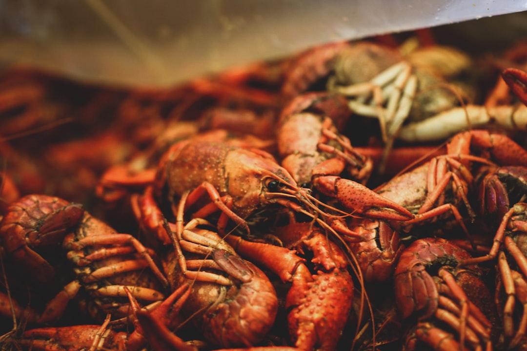 Louisiana