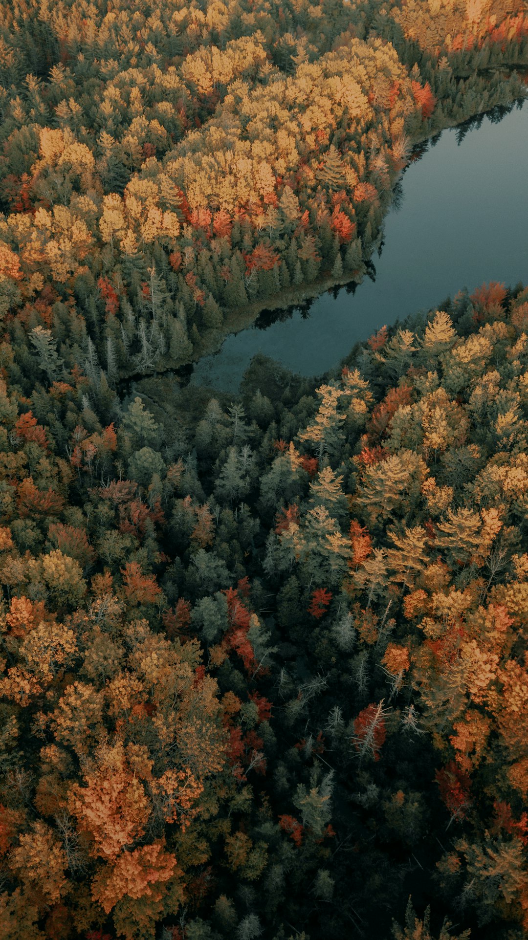 Maine