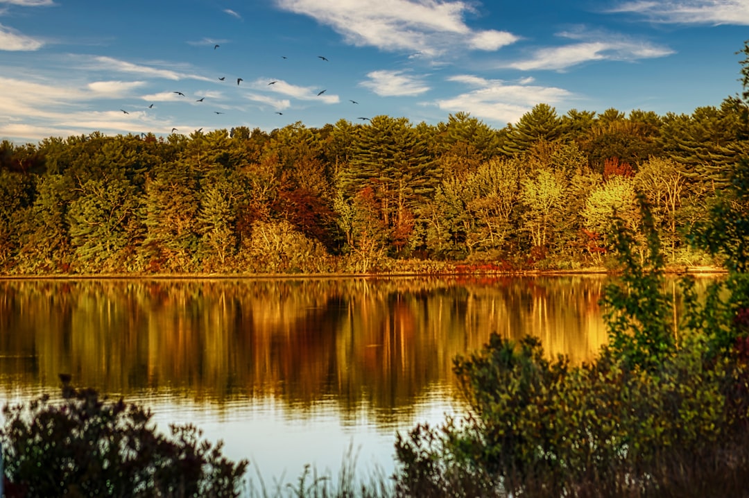Massachusetts