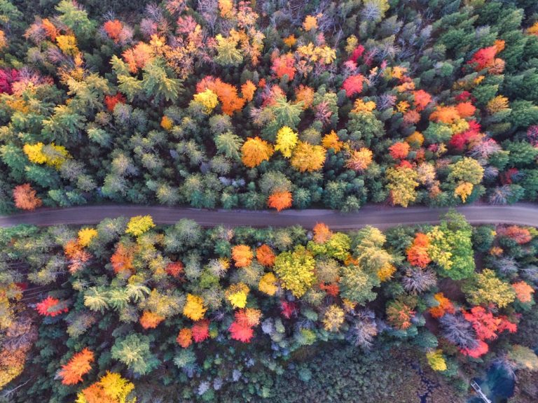 Michigan