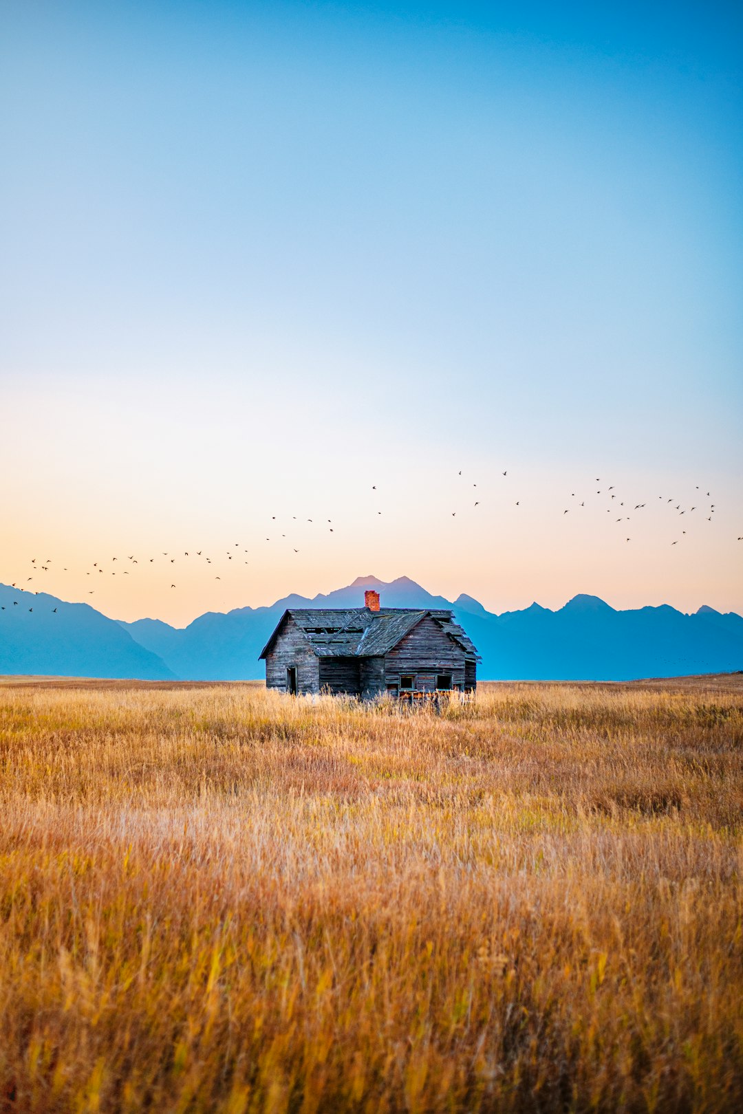 Montana
