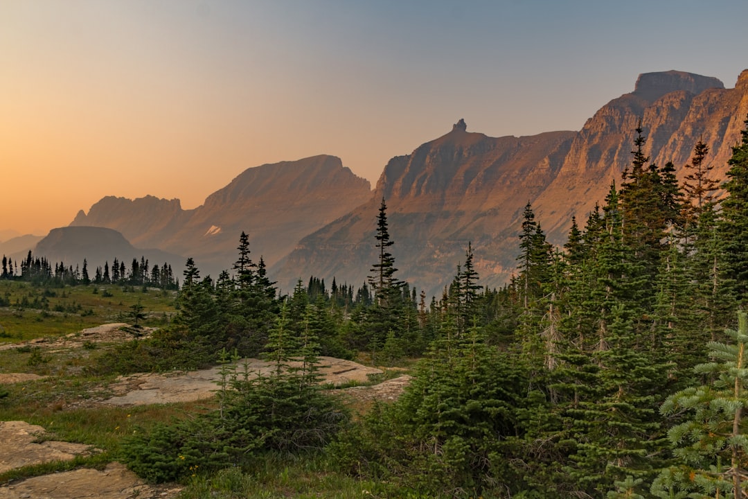 Montana