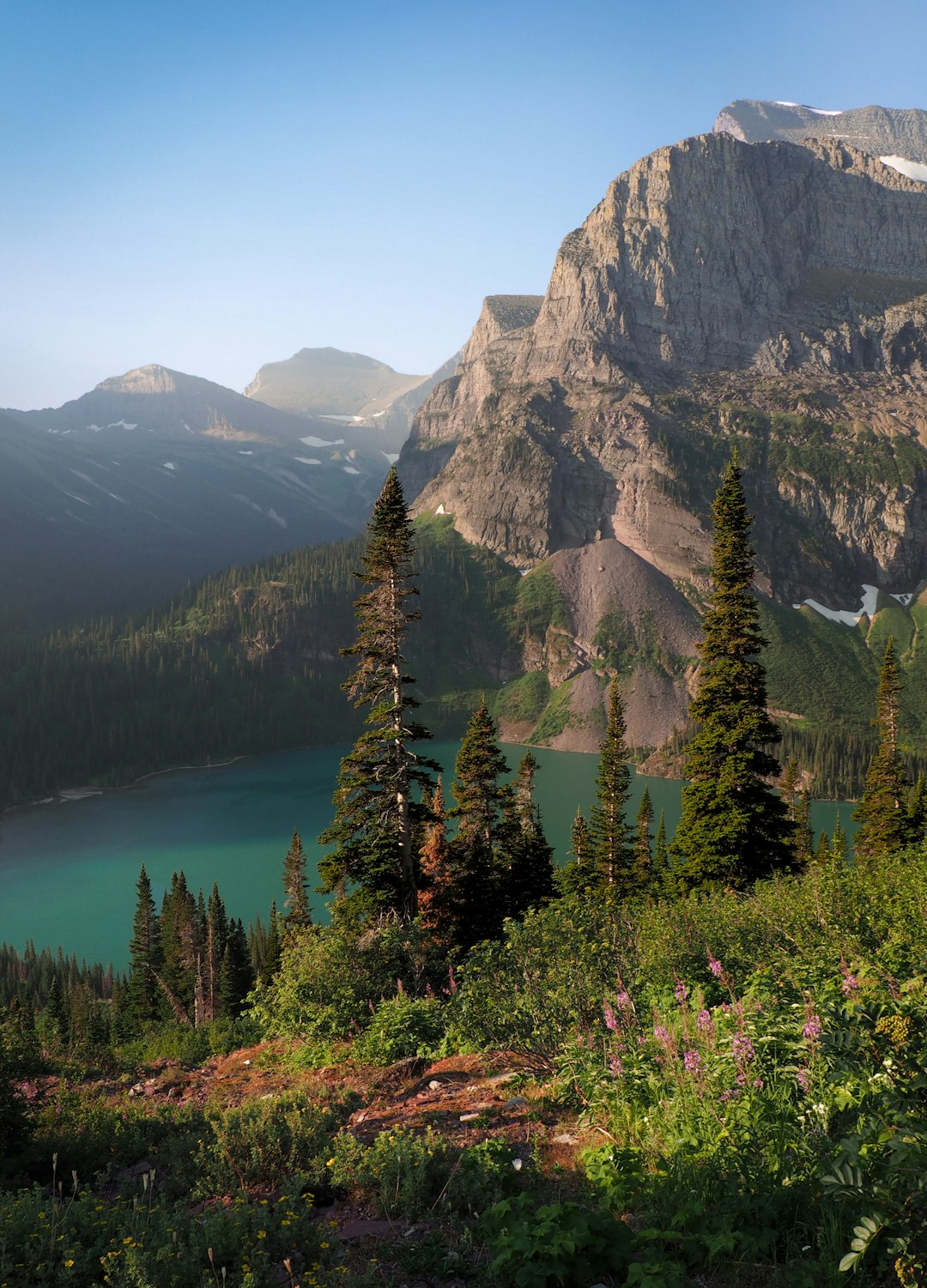 Montana