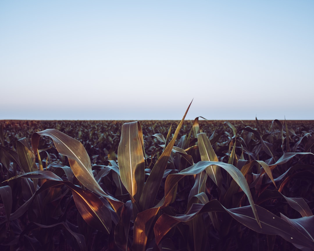 Nebraska