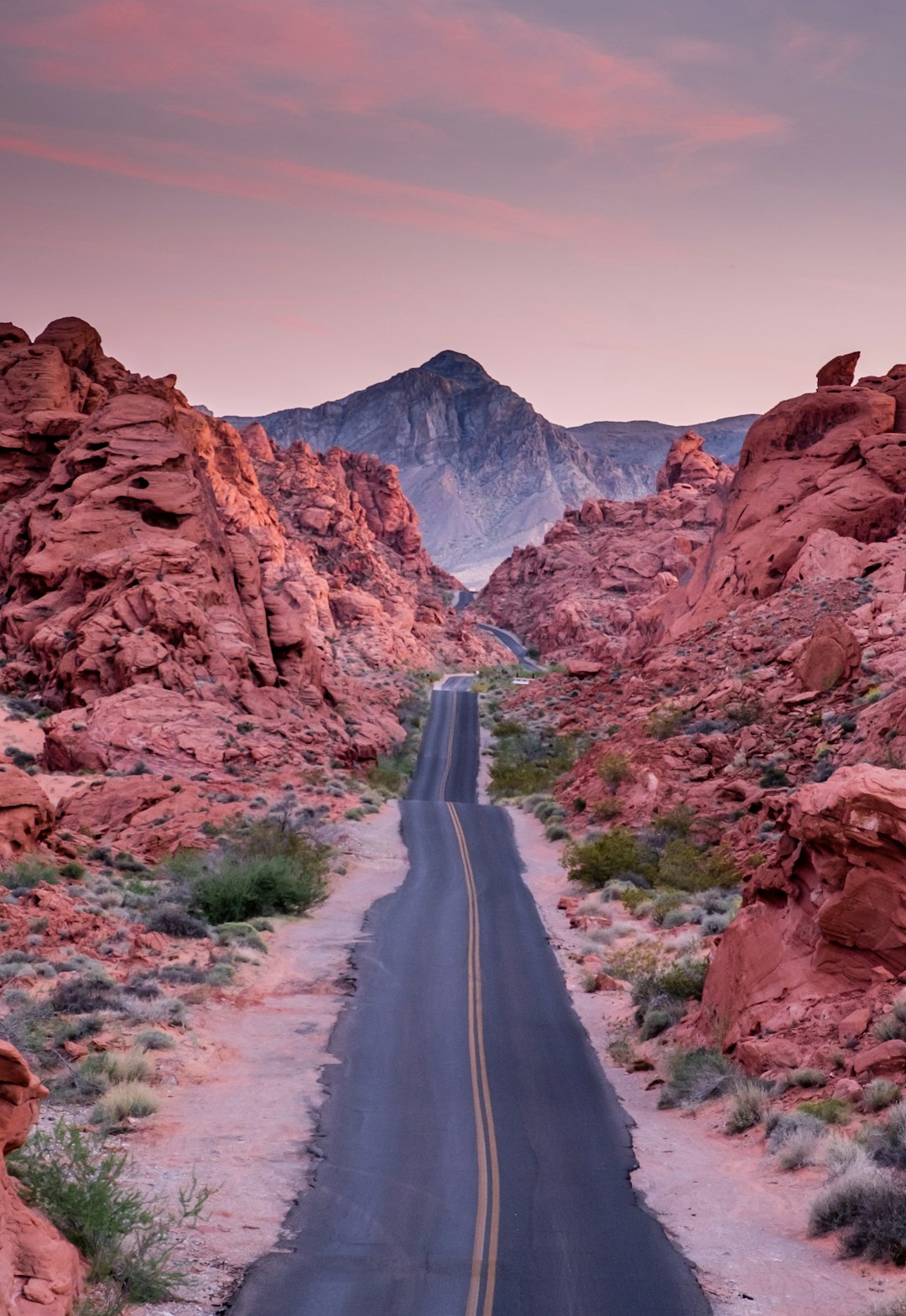 Nevada