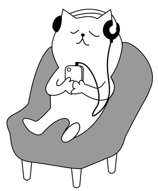 npressfetimg-125.png