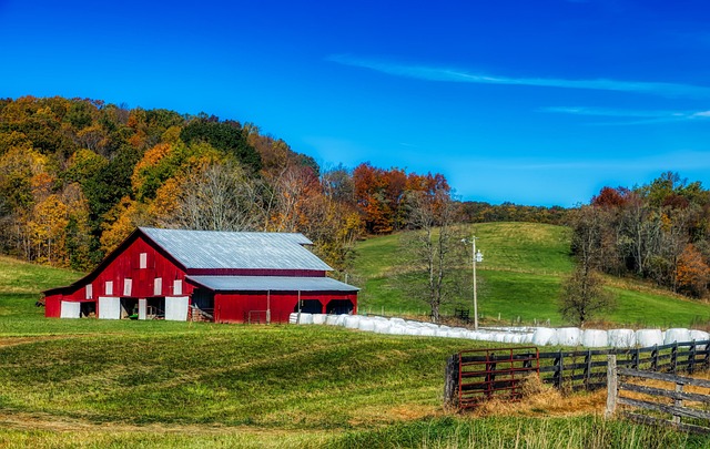 Spam Calls in West Virginia: Community Education, Legal Protections, and Empowering Residents