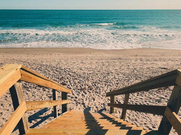 phone,cellphone,smartphone,lawyer,telemarketer,Florida