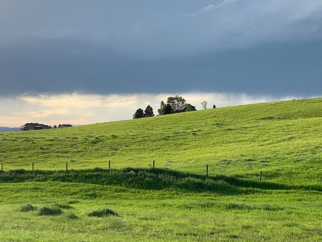 Montana Debt Collector Communication: Understanding Spam Call Laws & Penalties