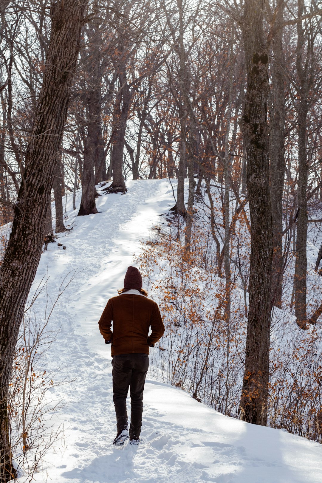 Cedar Falls Resident’s Guide: Easy Steps to Register on the Do Not Call List