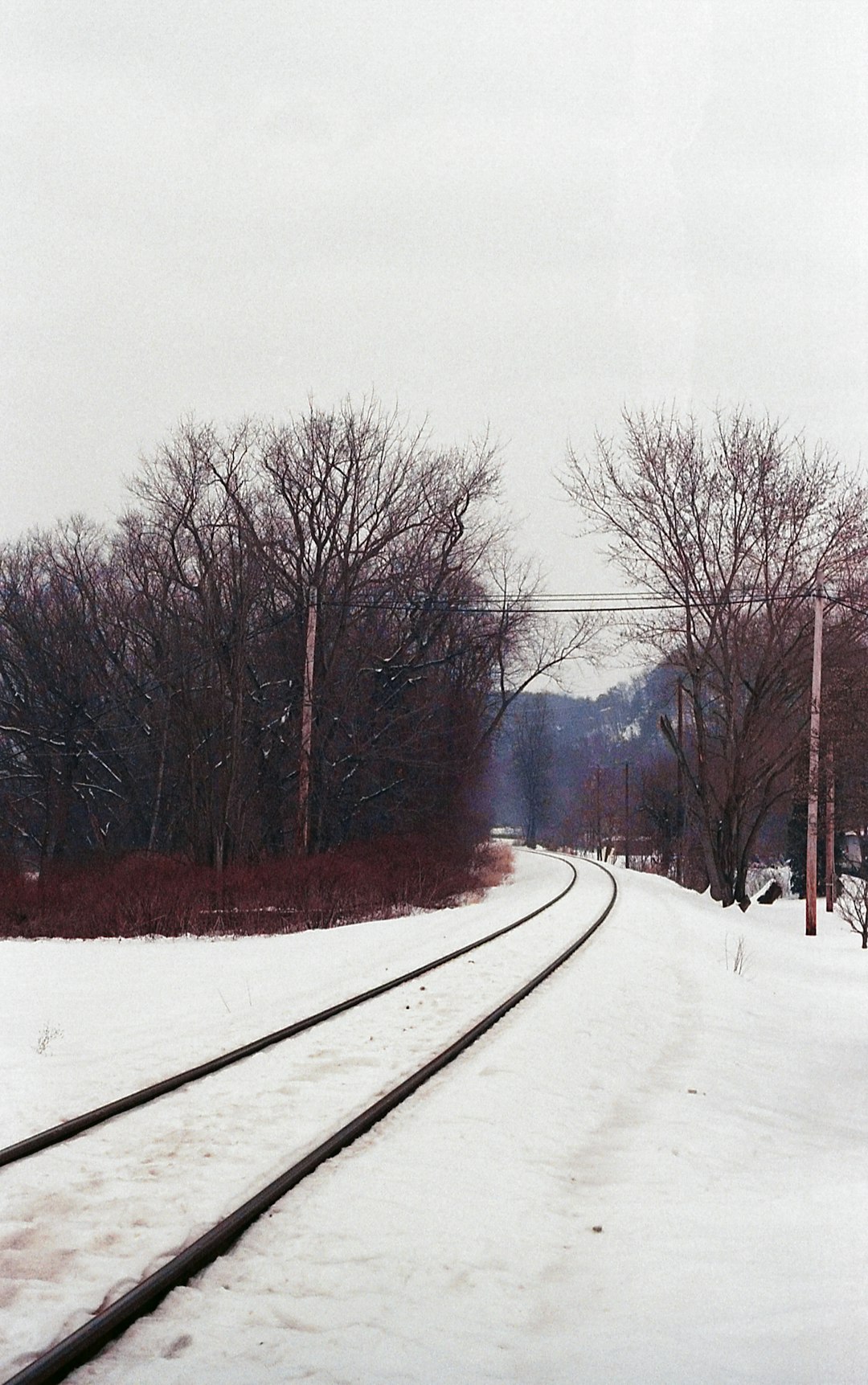phonecellphonesmartphonelawyertelemarket-640x480-49775232.jpeg