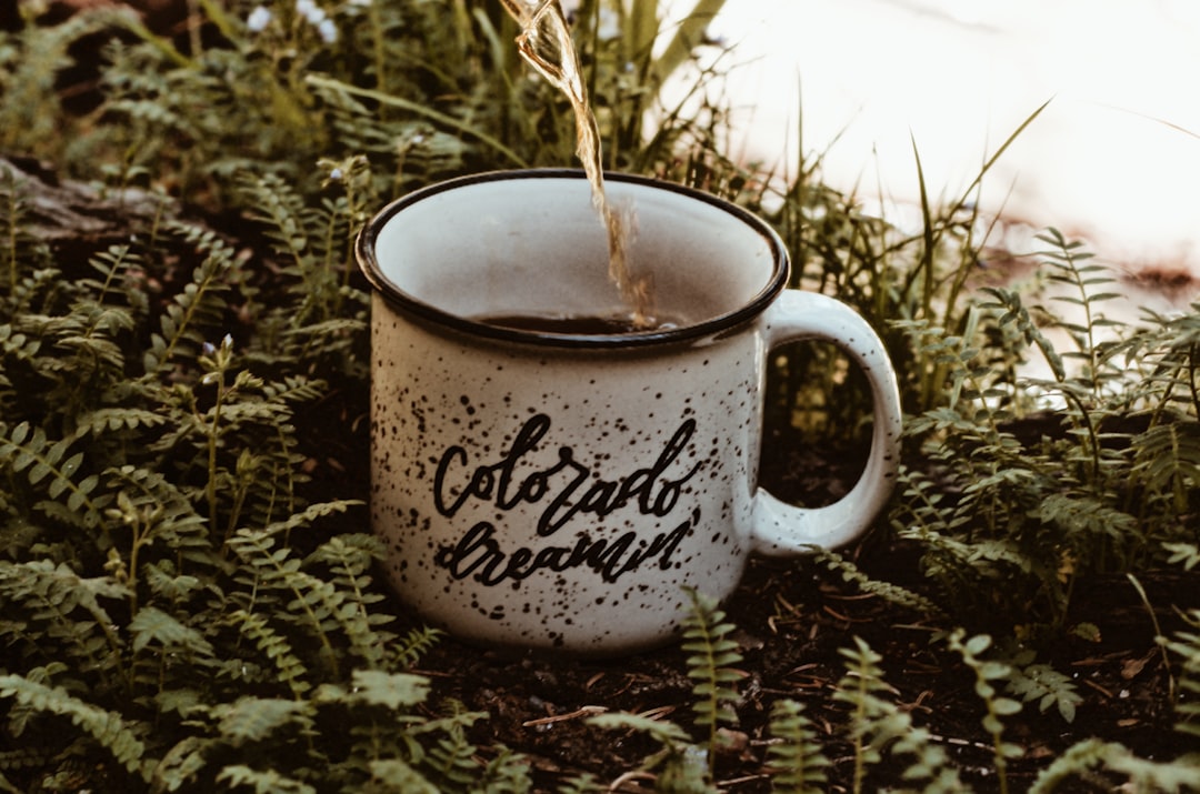 Colorado Debt Collector Call Recording Laws: A Comprehensive Guide