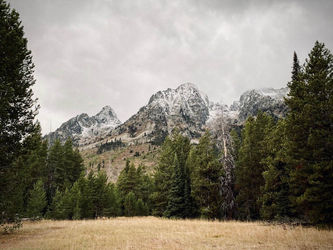 Legal Guide: Suing Telemarketers in Jackson, Wyoming with Robocall Lawyer