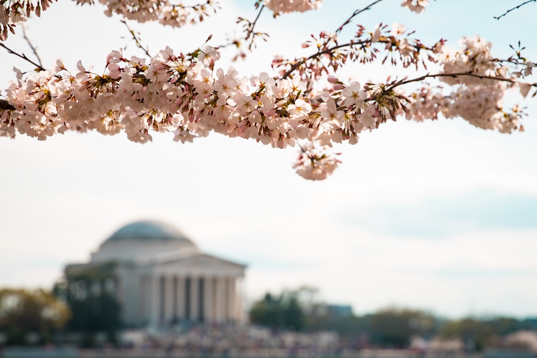 Lynnwoods: Combating Spam Calls with Legal Solutions in Washington