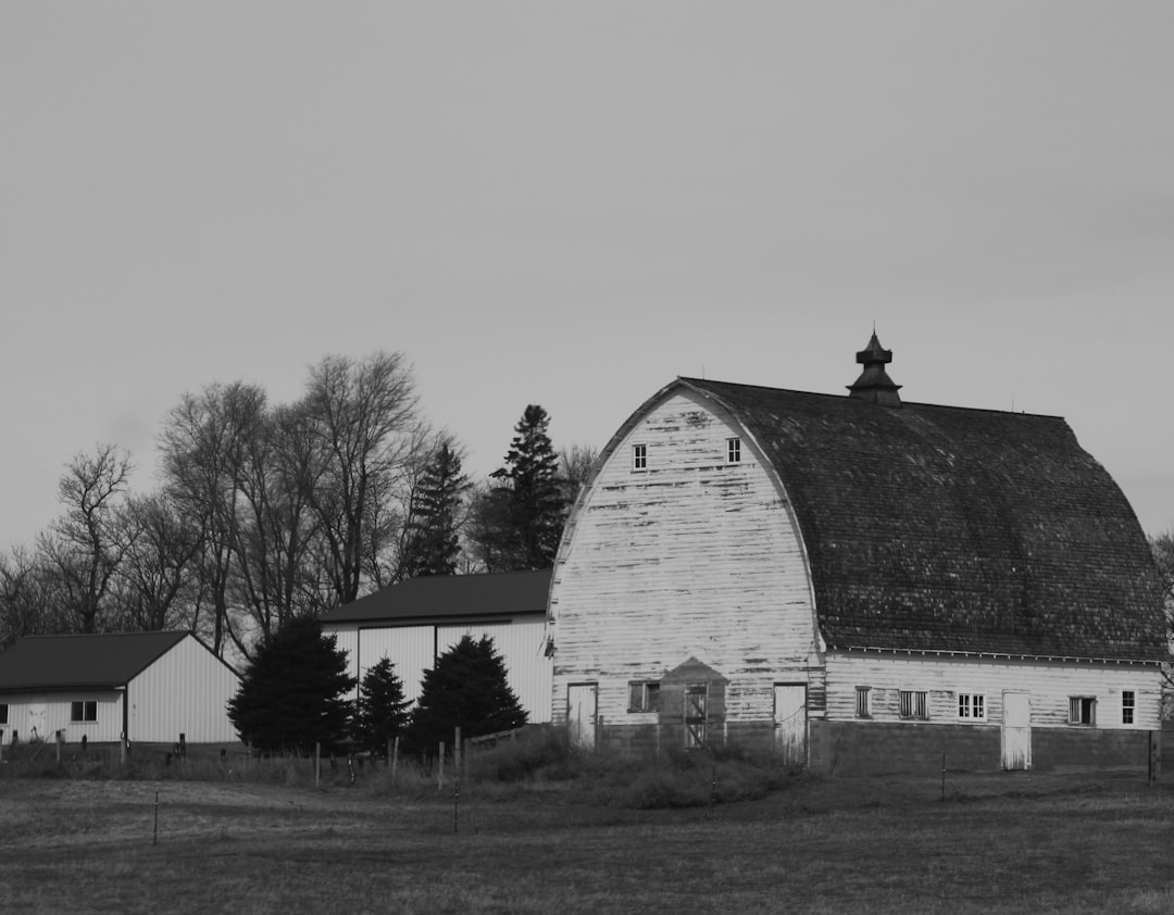 Navigating Debt Collection Practices Under Minnesota Law
