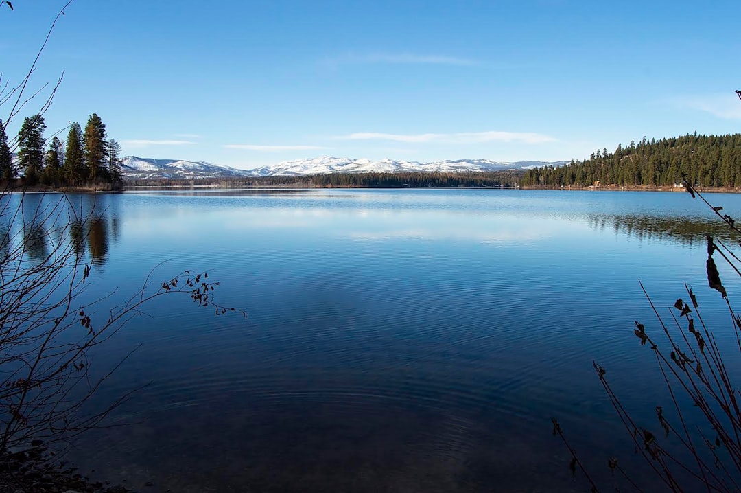 phone,cellphone,smartphone,lawyer,telemarketer,Montana