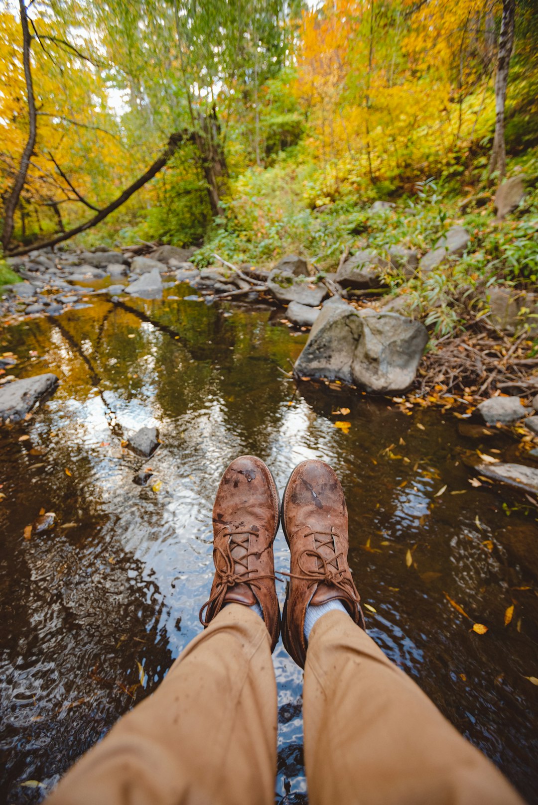 Stay Safe from Unwanted Calls in MN: Guide & Legal Protections