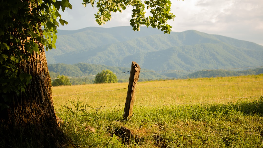 Tennessee