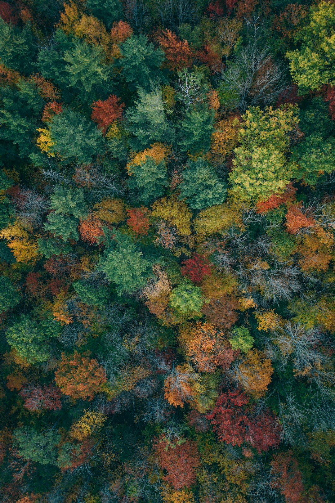 Vermont