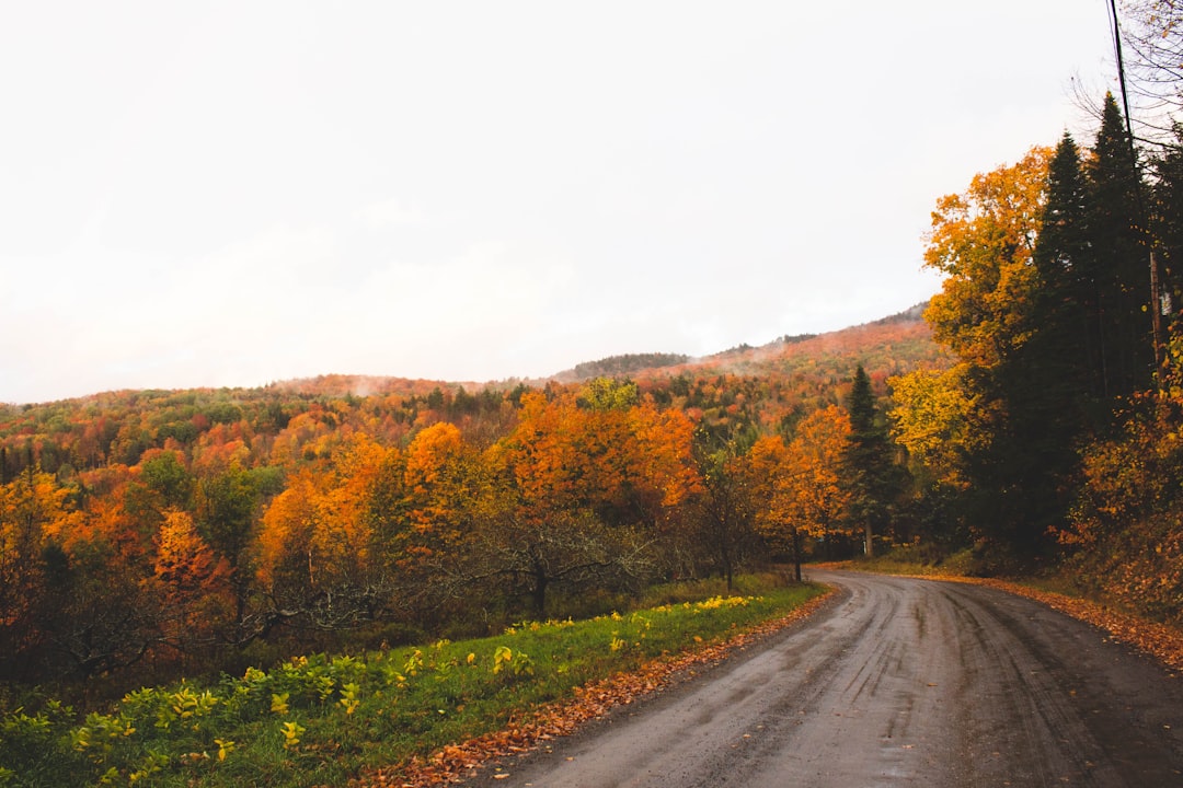 Vermont
