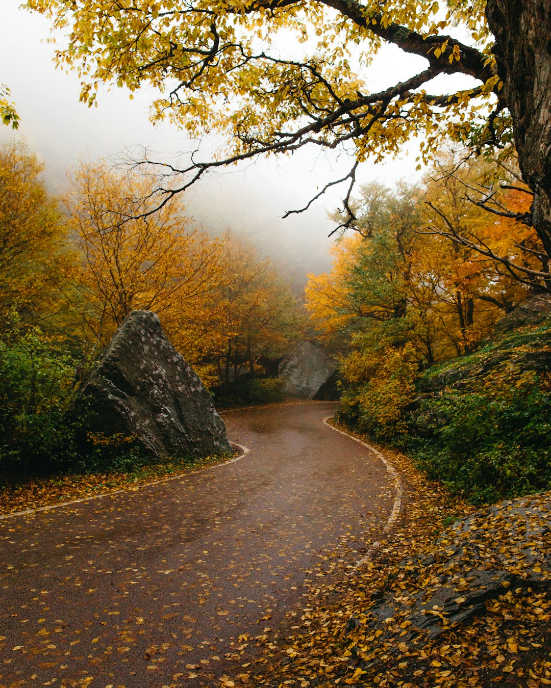 Vermont