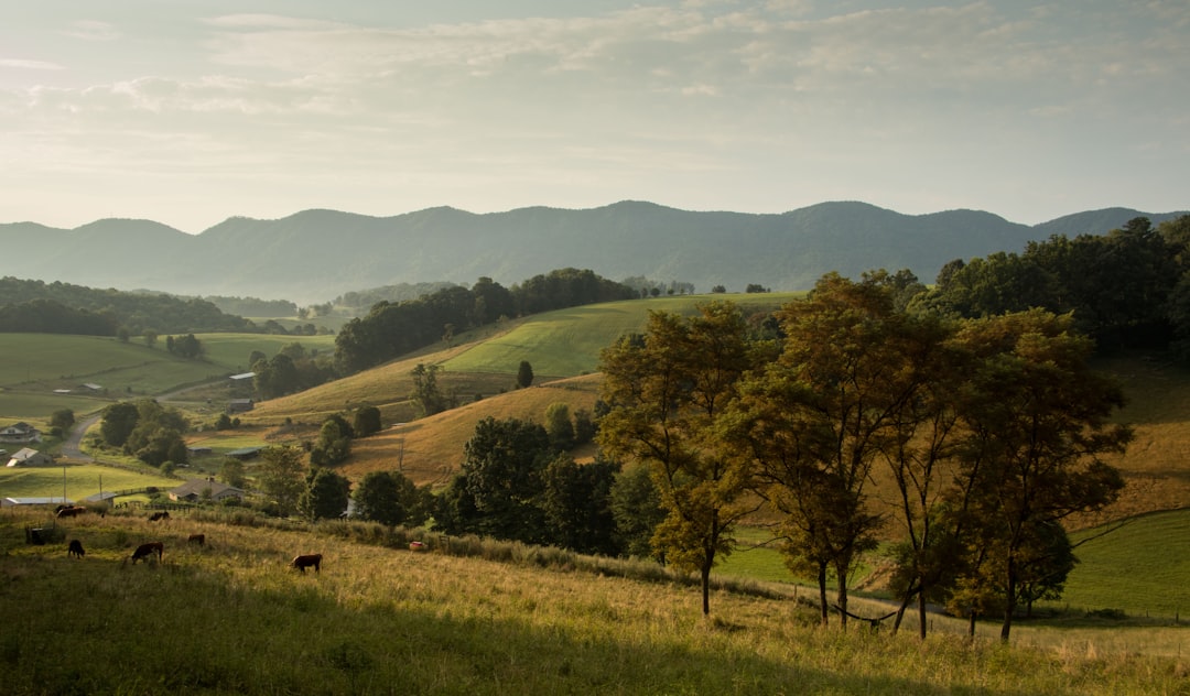 Virginia