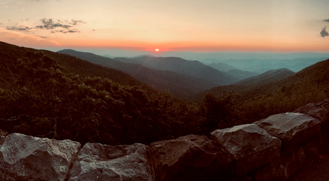 Virginia