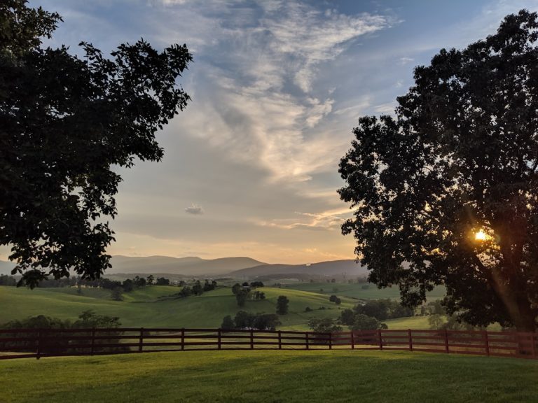 Virginia