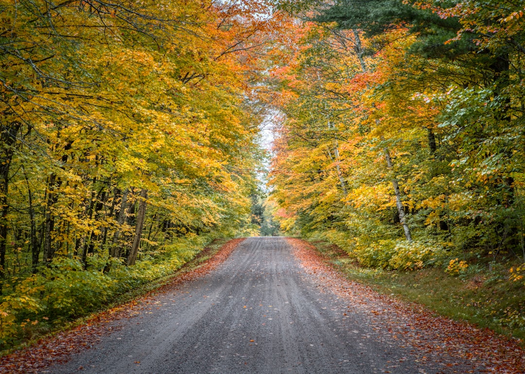 Wisconsin