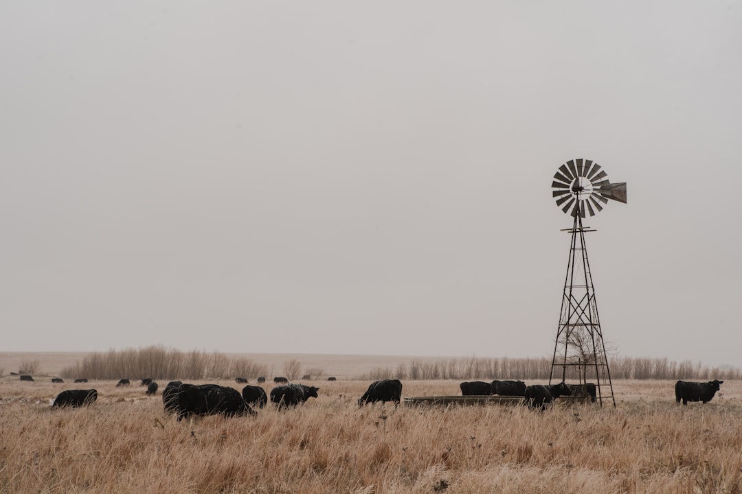 kansas-640x480-26929675.jpeg