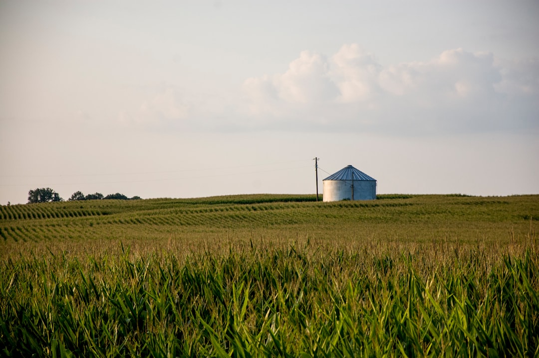 Kentucky