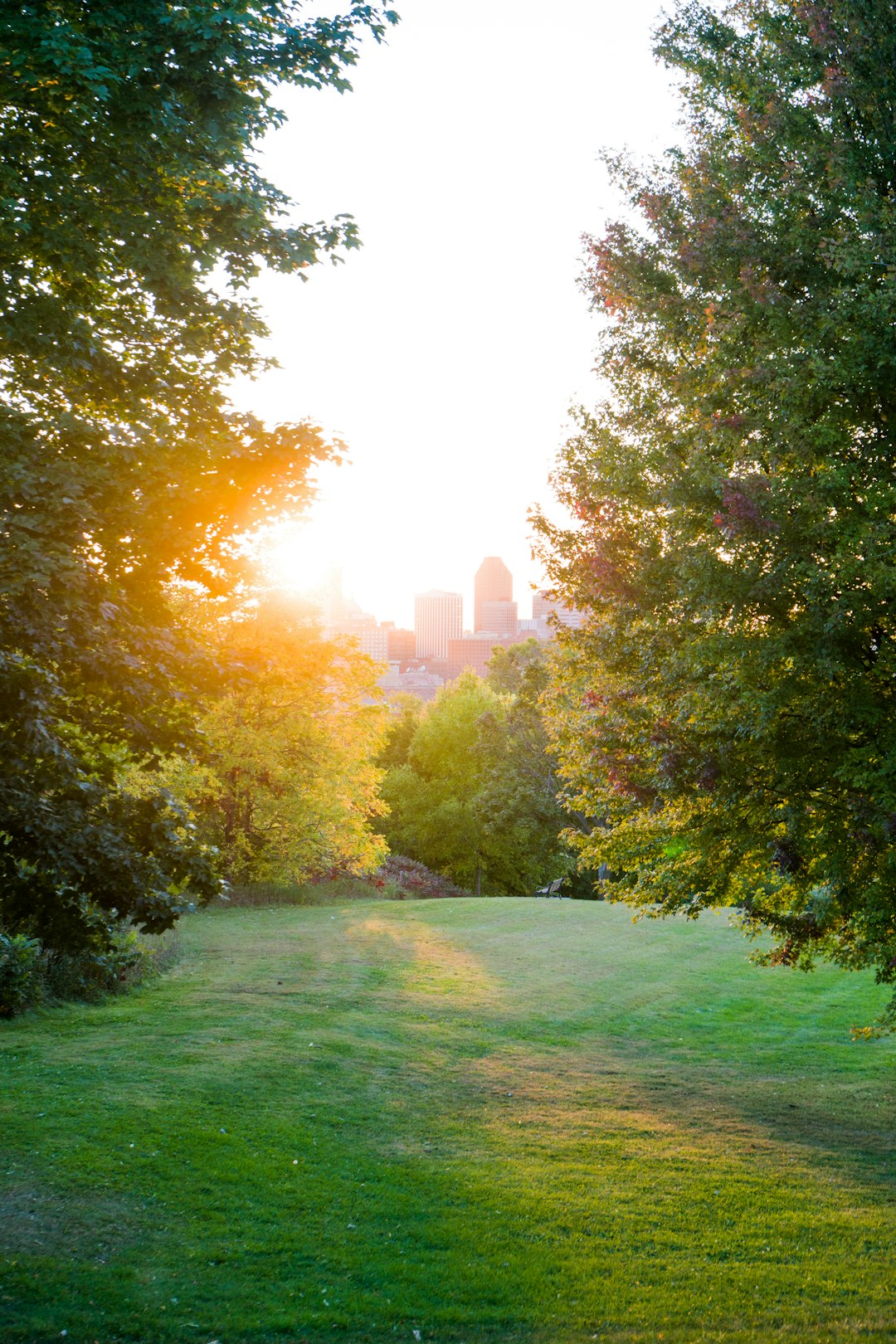 Minnesota