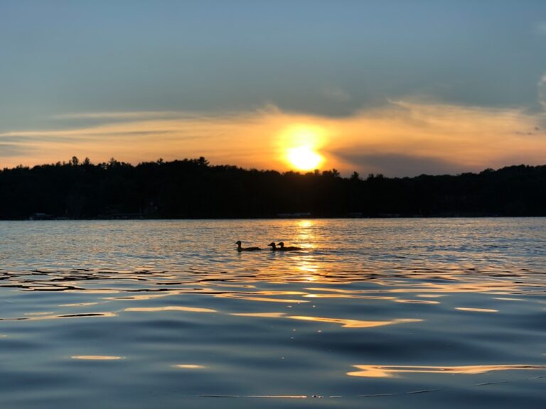 Minnesota