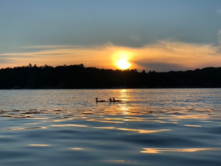 Minnesota