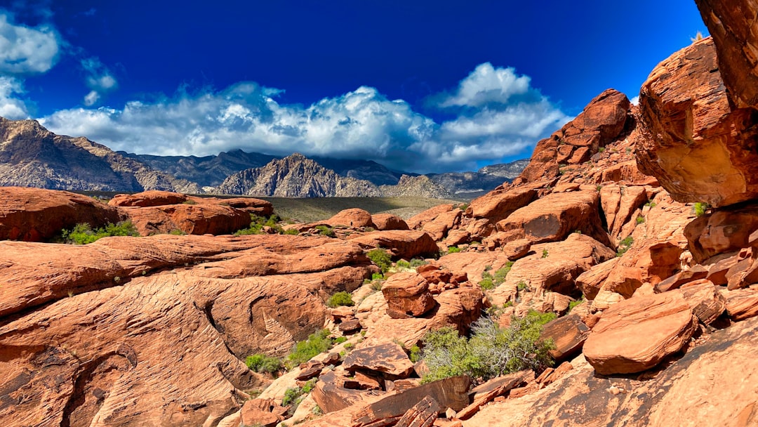 Nevada