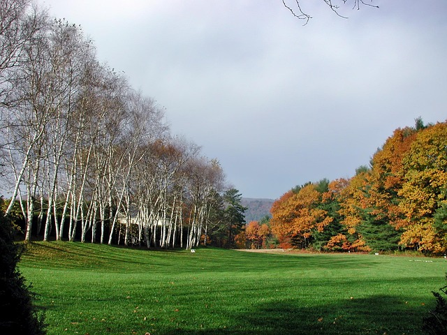 New Hampshire